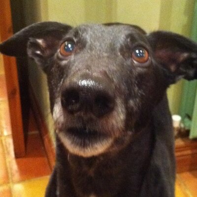 Profile Picture of Paula Quigley (@PaulaQuigley) on Twitter