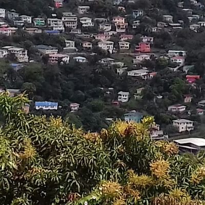 Peter Mercier - Twitter Profile Picture of Peter Mercier (@PeterMercier4) on Twitter