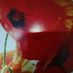 sarahatcha - Instagram Profile Picture of sarahatcha (@sarah_atcha_5678) on Instagram