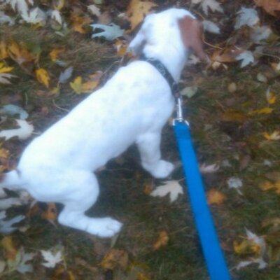 Profile Picture of MARK J GEIST (@mjmarshfield) on Twitter