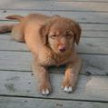 Profile Picture of Ellen Jackson (@hylandertollers) on Pinterest