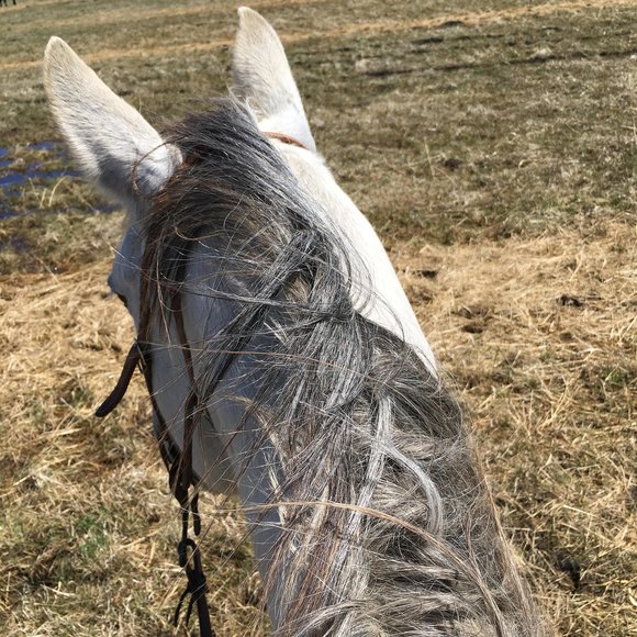 Profile Picture of Dorothy Jochem (@djochem) on Poshmark