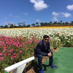 Profile Picture of Daniel Truong (@daniel_truong_toan) on Instagram