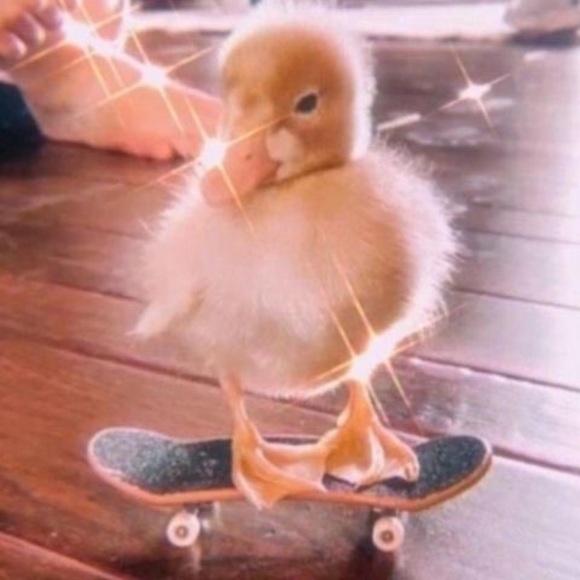 Profile Picture of Maya Lee (@mayalee849) on Poshmark