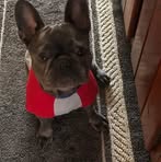 Profile Picture of Aaron Groezinger (@aaron.groezinger) on Facebook