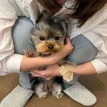 Profile Picture of rose (@rose_breeder_854) on Instagram