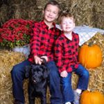 Profile Picture of Bill McDowell (@irishbillmcdowell) on Instagram