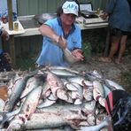 Profile Picture of Daniel Hollywood (@Daniel-Hollywood) on Facebook