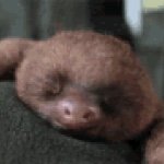 Profile Picture of Sebastian Reeves (@seabas384) on Instagram