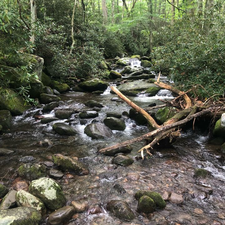 Profile Picture of Jeffrey Trahan Jr. (@@trizzle01) on Tiktok