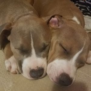 Profile Picture of Kyle Stinchcomb (@stinchcomb_kyle) on Twitter