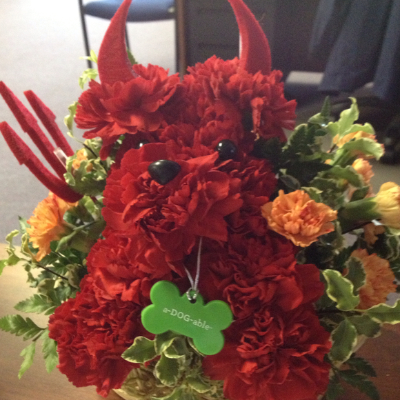 Profile Picture of Brandey Zatek (@brandey77) on Poshmark