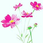 Profile Picture of sadia surtee omar (@sadia.surtee) on Instagram