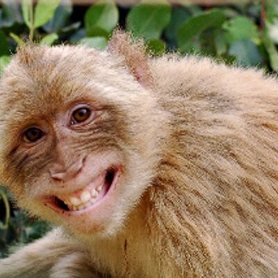 Profile Picture of Eric Tripp (@EricTripp01) on Twitter