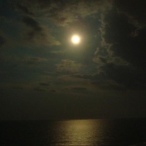 Profile Picture of Alex Krick (@mynameisalex8) on Myspace