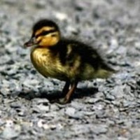 Profile Picture of Mackenzie Mccormack (@mackenzie-mccormack-1) on Quora