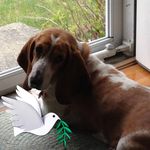Profile Picture of Joyce Haskell (@joyce.haskell.7) on Instagram