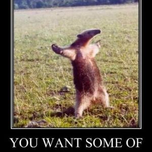 Profile Picture of Stephen Mayhall (@358684332) on Myspace