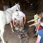 Profile Picture of Shawn Nelson (@farrier4you) on Instagram