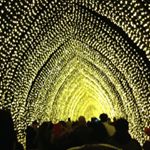 Profile Picture of Debra Graham Saunders (@debra_graham_saunders) on Instagram