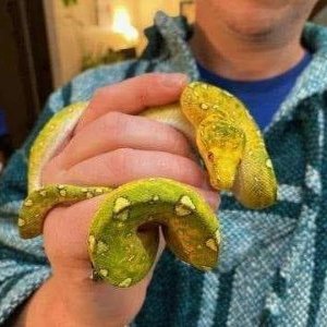 Profile Picture of Kyle Krull (@KyleKrull4) on Twitter