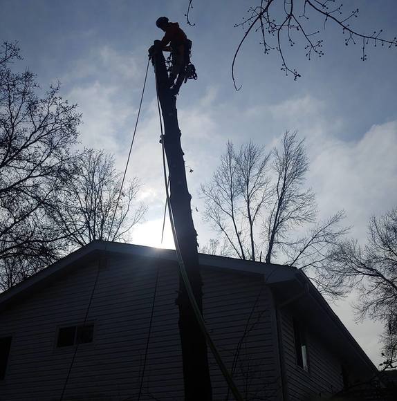 Profile Picture of Craig Lovell (@craiglovell) on Poshmark