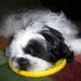 Profile Picture of Paula Delp (@pauladelp) on Pinterest
