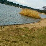 Profile Picture of Daniel Boström (@karldanielbostrom) on Instagram