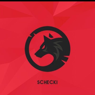 Profile Picture of Fabian Scheckenbach (@Scheckix) on Twitter