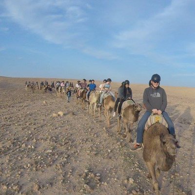 Profile Picture of Benjamin Stoller (@herbertsherb3rt) on Twitter