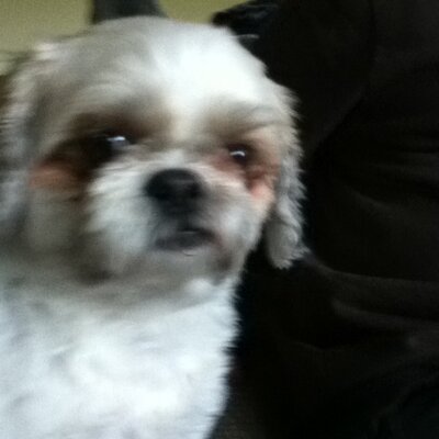 Profile Picture of Jay Eversoll (@Jay_Eversoll) on Twitter