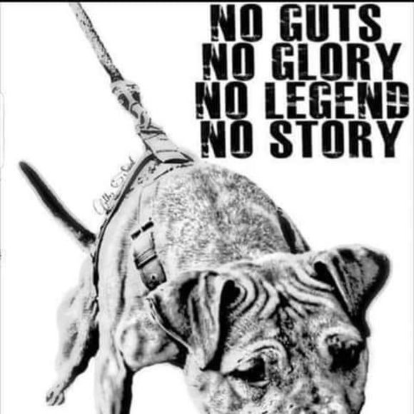 Profile Picture of James Gagnon (@gagnonjames5) on Poshmark