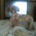 Profile Picture of jesse_meadows (@jesse_meadows) on Instagram