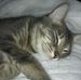 Profile Picture of Robin Engle (@robin.engle.509) on Facebook