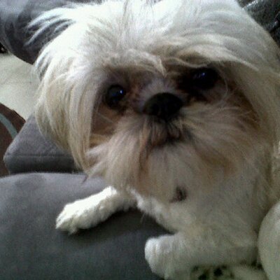Profile Picture of Lola La'Quinn (@theLolaLaQuinn) on Twitter