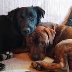 Profile Picture of Audrey Costes (@Audrey-Costes) on Facebook