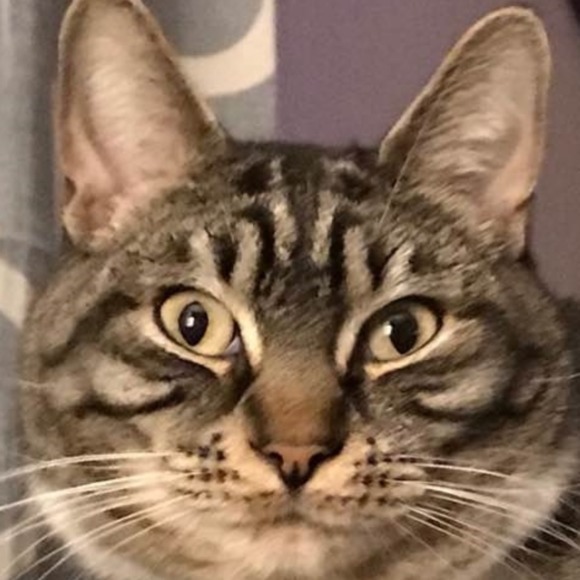 Profile Picture of Nancy Chaney (@geminiid) on Poshmark