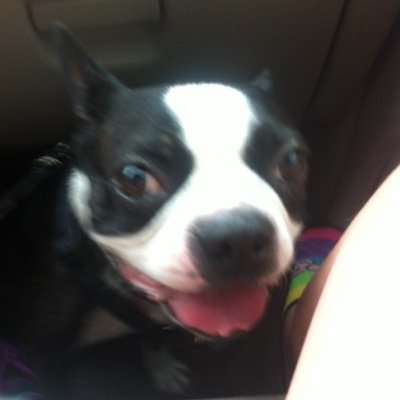 Profile Picture of Dani Baldwin (@Danibaldwin1) on Twitter