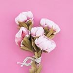 Profile Picture of • EVA GUTOWSKI • (@clipsofeva) on Instagram