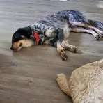 Profile Picture of Ray Courtney (@Ray-Courtney) on Facebook