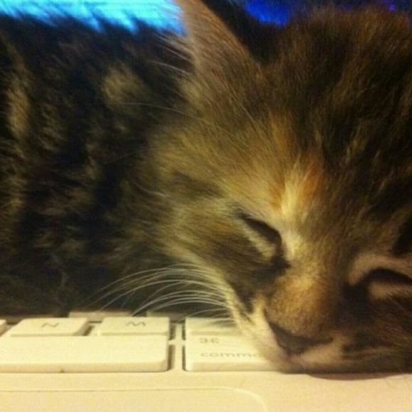 Profile Picture of Hyatt Dirbas (@toodopsie) on Poshmark