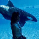 Profile Picture of Amanda Wardani (@mancil) on Instagram