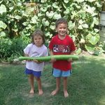 Rayetta Richard Serio - Instagram Profile Picture of Rayetta Richard Serio (@rayettaserio) on Instagram