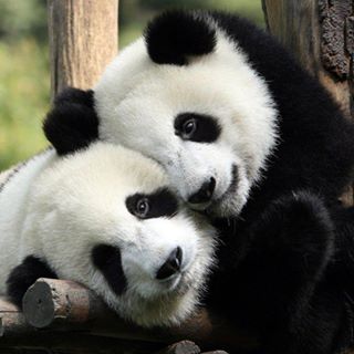 Jason Gallagher - Facebook Profile Picture of Jason Gallagher (@samet.ersoy.73307) on Facebook