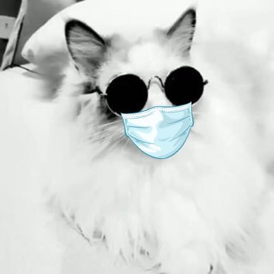 Profile Picture of Joseph Rodriguez 🥎 (@JosephMOJO3) on Twitter