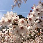 Profile Picture of Martin Milner (@martinmilner) on Instagram