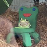 Profile Picture of Hannah Cahill (@hanstagramz) on Instagram