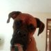 Profile Picture of David Buddenbaum (@dbudden2) on Pinterest