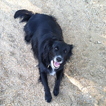 Profile Picture of Hsee19 (@hsee19) on Flickr