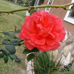 Profile Picture of Matthew camarillo (@matthewcamarillo12) on Instagram